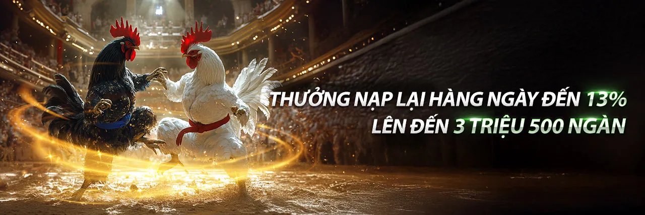 Sòng Bạc Trực Tuyến Hấp Dẫn Cùng Nohu 90 Khuyến Mãi